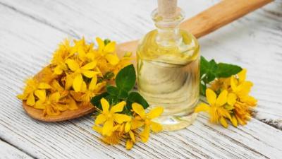 St. John's Wort 8 things to know about this anti-depression plant