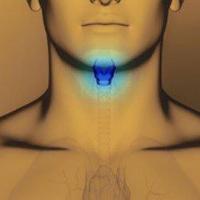 Reguler thyroide