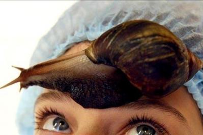 Snail slime treatment for skin care