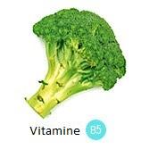 Vitamine b5